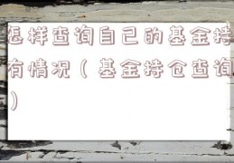怎样查询自己的基金持有情况（基金持仓查询）