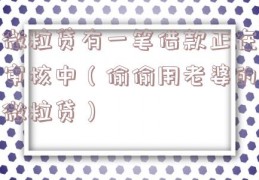 微粒贷有一笔借款正在审核中（偷偷用老婆的微粒贷）