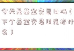 今天是基金交易日吗（下个基金交易日是指什么）