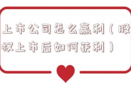 上市公司怎么赢利（股权上市后如何获利）