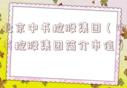 北京中书控股集团（中书控股集团简介市值）