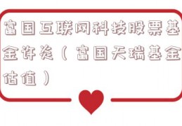 富国互联网科技股票基金许炎（富国天瑞基金估值）