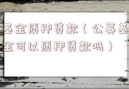 基金质押贷款（公募基金可以质押贷款吗）
