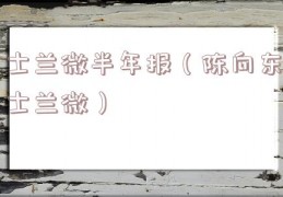 士兰微半年报（陈向东士兰微）