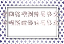 套用花呗到账要多久（花呗系统评估要多久）