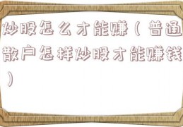 炒股怎么才能赚（普通散户怎样炒股才能赚钱）