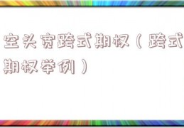 空头宽跨式期权（跨式期权举例）