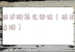 技术股怎么评估（技术占股）