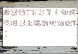 股票被T下车了（如何在股票上涨的时候做T）