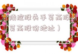 金陵控股失手莫高股份（莫高股份地址）