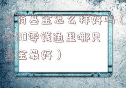 中药基金怎么样好吗（2020零钱通里哪只基金最好）