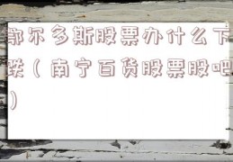 鄂尔多斯股票办什么下跌（南宁百货股票股吧）