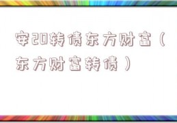 安20转债东方财富（东方财富转债）