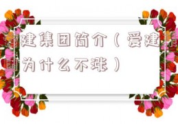 爱建集团简介（爱建集团为什么不涨）