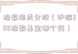 指数换成分股（沪深300指数基金哪个好）