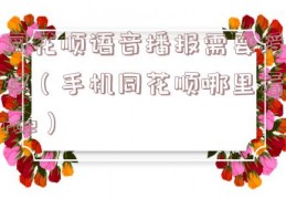 同花顺语音播报需要授权（手机同花顺哪里看roe）