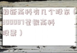 鼎新高科有几个股东（300087荃银高科股票）