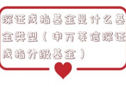 深证成指基金是什么基金类型（申万菱信深证成指分级基金）