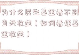 为什么民生基金看不到当天收益（如何看懂基金收益）