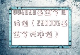 002393基金今日估值（590002基金今天净值）