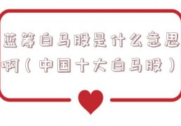 蓝筹白马股是什么意思啊（中国十大白马股）