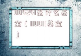 004241是什么基金（110011基金）