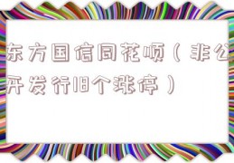东方国信同花顺（非公开发行18个涨停）