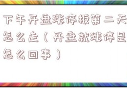下午开盘涨停板第二天怎么走（开盘就涨停是怎么回事）