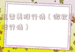 迅雷美股行情（微软美股行情）