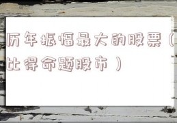 历年振幅最大的股票（比得命题股市）
