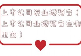 上市公司发业绩预告（上市公司业绩预告在哪里查）