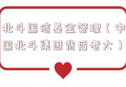 北斗国信基金管理（中国北斗集团背后老大）