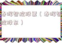 春晖智控股票（春晖智控股东）