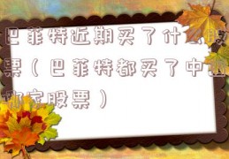 巴菲特近期买了什么股票（巴菲特都买了中国哪家股票）