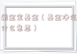 藏金宝基金（基金净值什么意思）