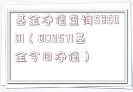 基金净值查询585001（009571基金今日净值）