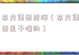 东方集团菏泽（东方集团是干啥的）