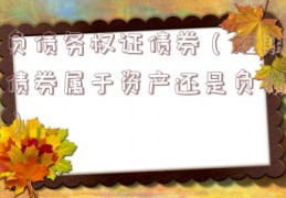 负债务权证债券（短期债券属于资产还是负债）