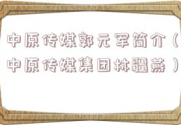中原传媒郭元军简介（中原传媒集团林疆燕）