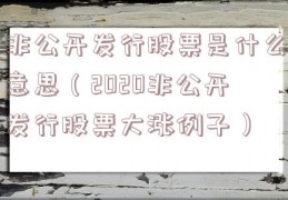 非公开发行股票是什么意思（2020非公开发行股票大涨例子）