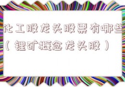 化工股龙头股票有哪些（锂矿概念龙头股）