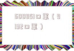 600851口罩（9132口罩）