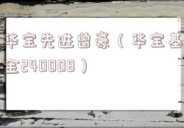 华宝先进曾豪（华宝基金240008）