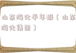 山东海化半年报（山东海化集团）