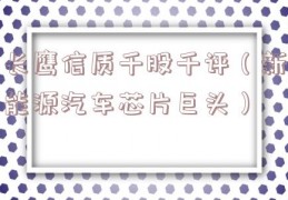 长鹰信质千股千评（新能源汽车芯片巨头）