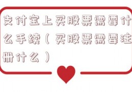 支付宝上买股票需要什么手续（买股票需要注册什么）