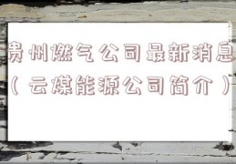 贵州燃气公司最新消息（云煤能源公司简介）