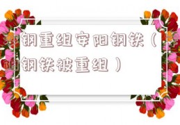 沙钢重组安阳钢铁（安阳钢铁被重组）