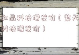 和晶科技增发价（紫天科技增发价）