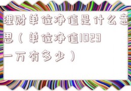 理财单位净值是什么意思（单位净值1023一万有多少）